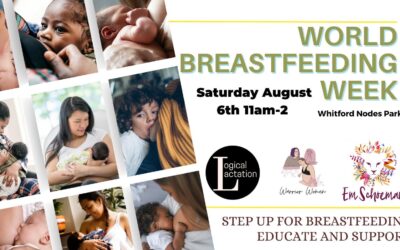 World Breastfeeding Week Picnic hosted by Logical Lactation